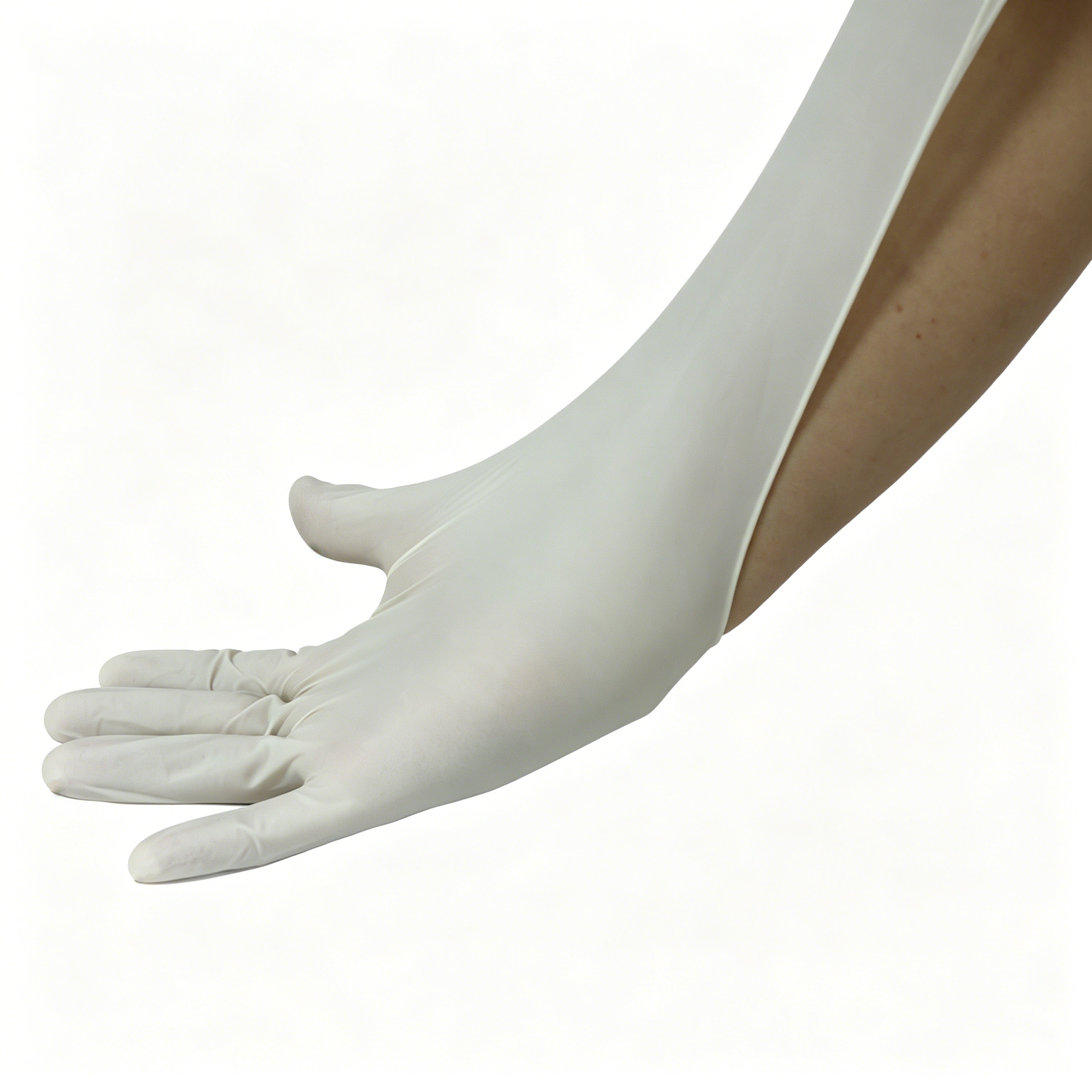 Disposable medical rubber exam - Latex Disposable Glove บทวิจารณ์และราคา