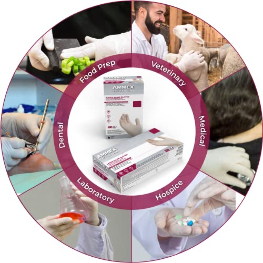 AMMEX White Latex Disposable E - Latex Disposable Glove บทวิจารณ์และราคา