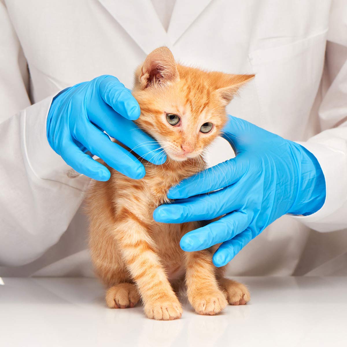 Latex-Free Blue Nitrile Exam G - Exam Glove Nitrile บทวิจารณ์และราคา