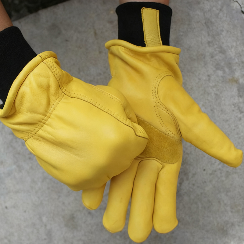 Mens Motorcycle Winter Gloves  - Winter Glove Insulated บทวิจารณ์และราคา