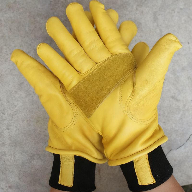 Mens Motorcycle Winter Gloves  - Winter Glove Insulated บทวิจารณ์และราคา
